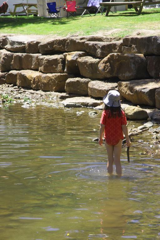 Big4 Wye River Holiday Park المظهر الخارجي الصورة